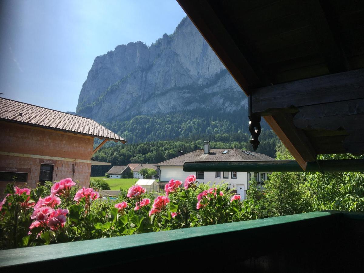 Ferienwohnung Meindl Elfi An Der Drachenwand 44 Mondsee Exteriér fotografie