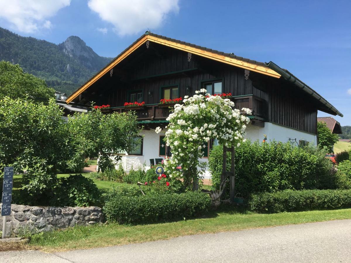 Ferienwohnung Meindl Elfi An Der Drachenwand 44 Mondsee Exteriér fotografie